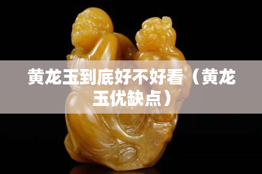 黄龙玉到底好不好看（黄龙玉优缺点）