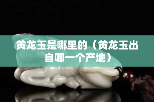 黄龙玉是哪里的（黄龙玉出自哪一个产地）