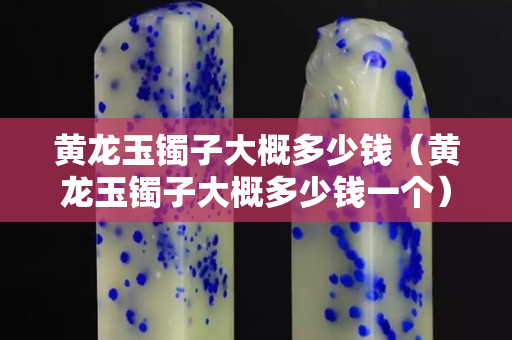 黄龙玉镯子大概多少钱（黄龙玉镯子大概多少钱一个）