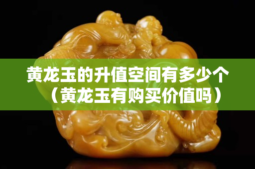 黄龙玉的升值空间有多少个（黄龙玉有购买价值吗）