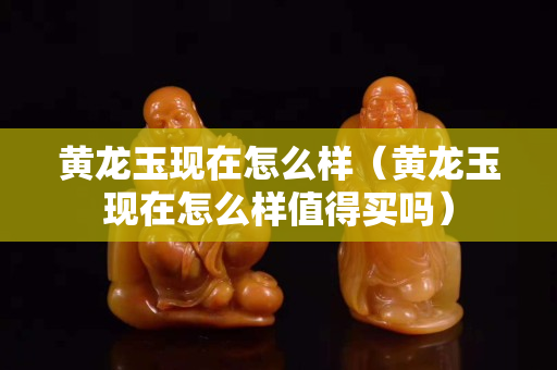 黄龙玉现在怎么样（黄龙玉现在怎么样值得买吗）
