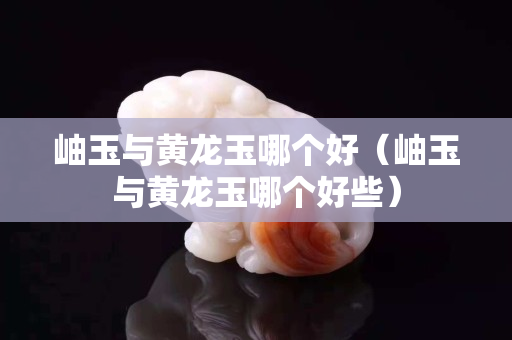 岫玉与黄龙玉哪个好（岫玉与黄龙玉哪个好些）