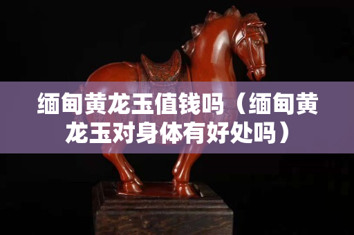 缅甸黄龙玉值钱吗（缅甸黄龙玉对身体有好处吗）