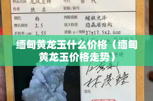 缅甸黄龙玉什么价格（缅甸黄龙玉价格走势）