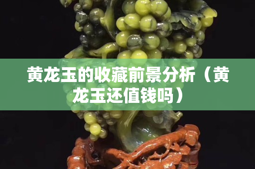 黄龙玉的收藏前景分析（黄龙玉还值钱吗）