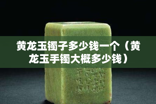 黄龙玉镯子多少钱一个（黄龙玉手镯大概多少钱）