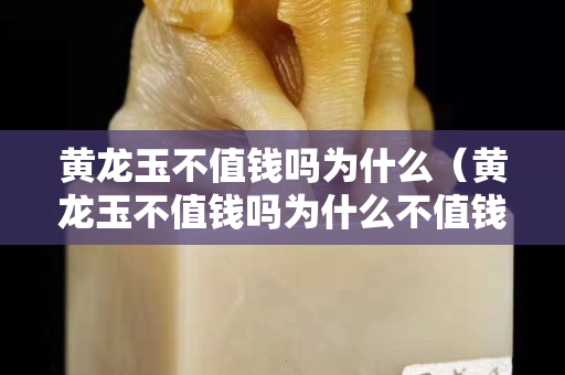 黄龙玉不值钱吗为什么（黄龙玉不值钱吗为什么不值钱）