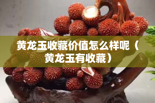 黄龙玉收藏价值怎么样呢（黄龙玉有收藏）
