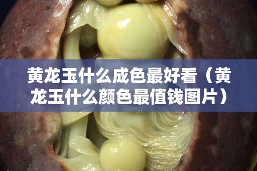 黄龙玉什么成色最好看（黄龙玉什么颜色最值钱图片）