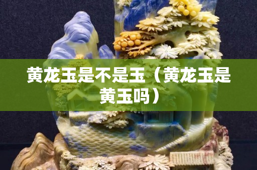黄龙玉是不是玉（黄龙玉是黄玉吗）