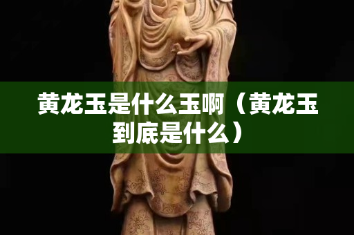 黄龙玉是什么玉啊（黄龙玉到底是什么）