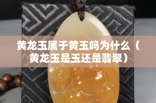 黄龙玉属于黄玉吗为什么（黄龙玉是玉还是翡翠）