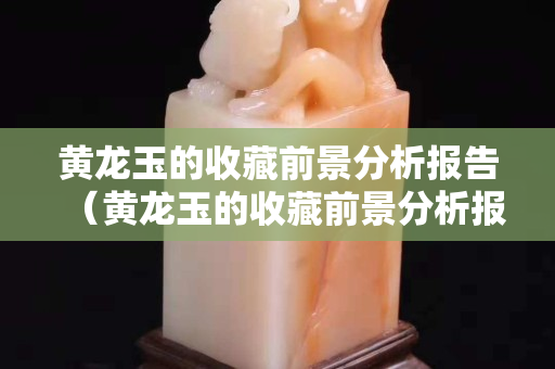 黄龙玉的收藏前景分析报告（黄龙玉的收藏前景分析报告怎么写）