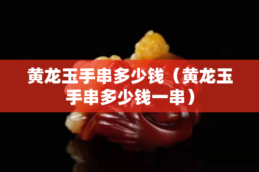 黄龙玉手串多少钱（黄龙玉手串多少钱一串）