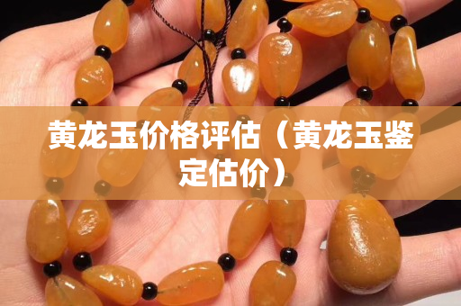 黄龙玉价格评估（黄龙玉鉴定估价）