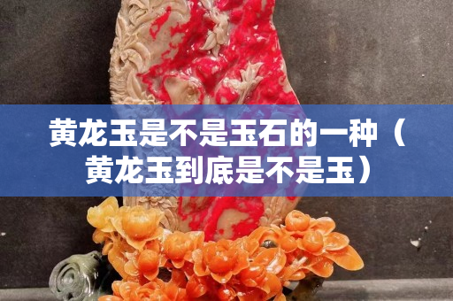 黄龙玉是不是玉石的一种（黄龙玉到底是不是玉）