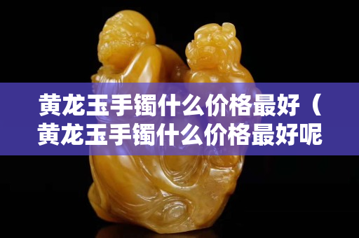 黄龙玉手镯什么价格最好（黄龙玉手镯什么价格最好呢）