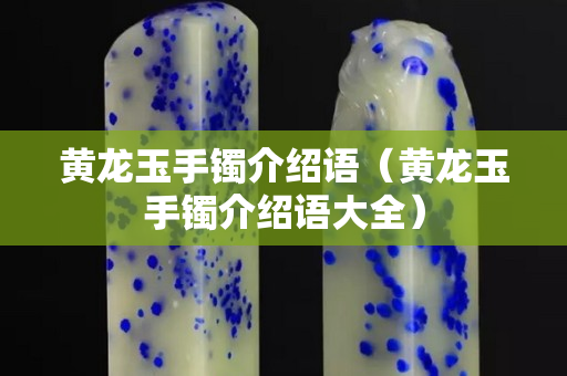 黄龙玉手镯介绍语（黄龙玉手镯介绍语大全）