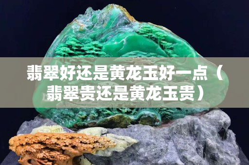 翡翠好还是黄龙玉好一点（翡翠贵还是黄龙玉贵）