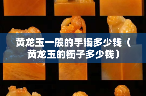 黄龙玉一般的手镯多少钱（黄龙玉的镯子多少钱）