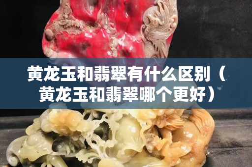 黄龙玉和翡翠有什么区别（黄龙玉和翡翠哪个更好）