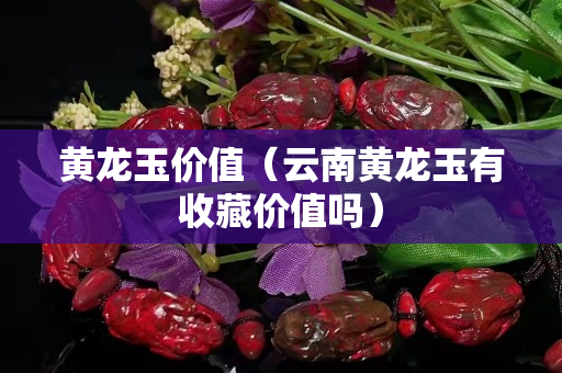 黄龙玉价值（云南黄龙玉有收藏价值吗）