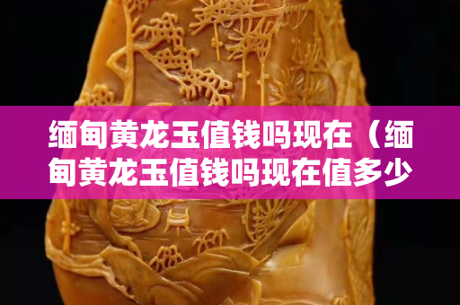 缅甸黄龙玉值钱吗现在（缅甸黄龙玉值钱吗现在值多少钱）