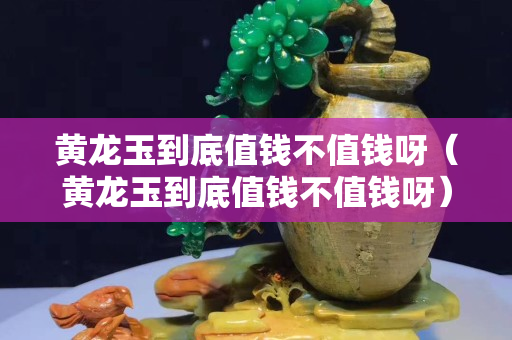 黄龙玉到底值钱不值钱呀（黄龙玉到底值钱不值钱呀）