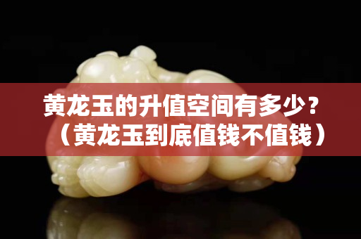 黄龙玉的升值空间有多少？（黄龙玉到底值钱不值钱）