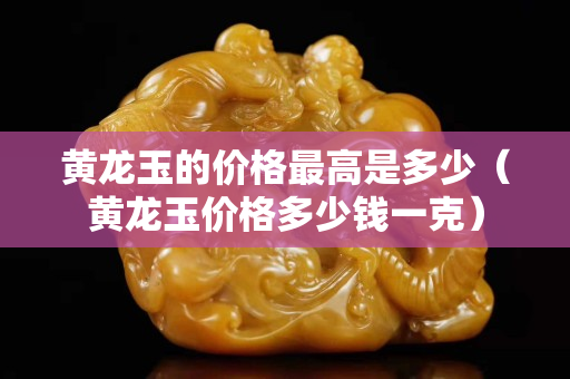 黄龙玉的价格最高是多少（黄龙玉价格多少钱一克）