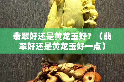 翡翠好还是黄龙玉好？（翡翠好还是黄龙玉好一点）