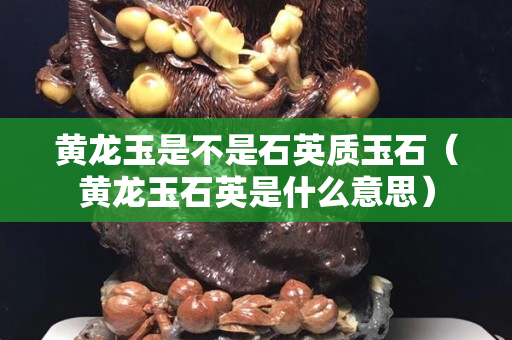 黄龙玉是不是石英质玉石（黄龙玉石英是什么意思）