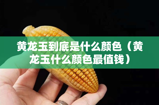 黄龙玉到底是什么颜色（黄龙玉什么颜色最值钱）