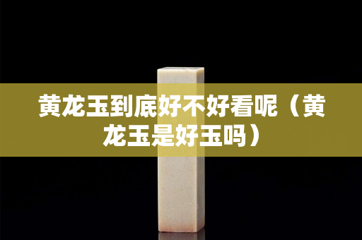 黄龙玉到底好不好看呢（黄龙玉是好玉吗）