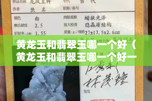 黄龙玉和翡翠玉哪一个好（黄龙玉和翡翠玉哪一个好一点）