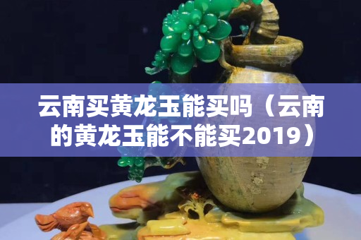 云南买黄龙玉能买吗（云南的黄龙玉能不能买2019）