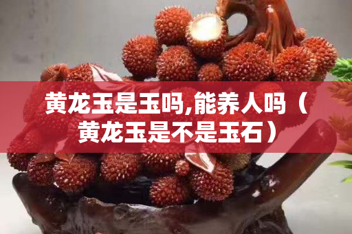 黄龙玉是玉吗,能养人吗（黄龙玉是不是玉石）