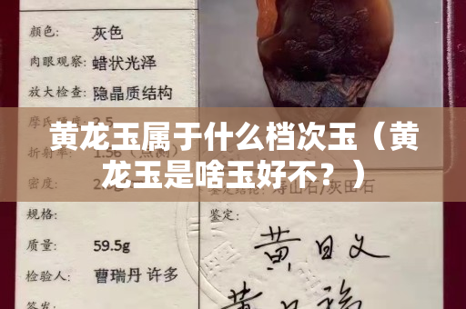 黄龙玉属于什么档次玉（黄龙玉是啥玉好不？）