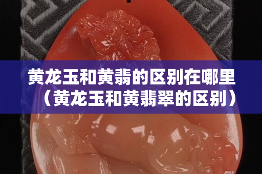 黄龙玉和黄翡的区别在哪里（黄龙玉和黄翡翠的区别）