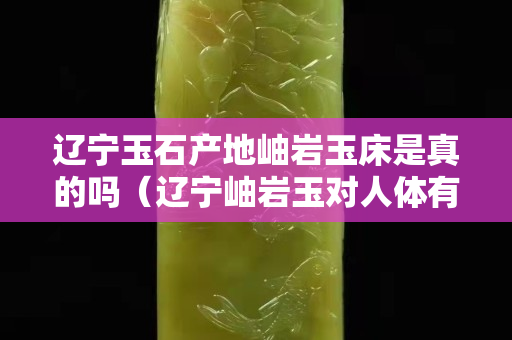 辽宁玉石产地岫岩玉床是真的吗（辽宁岫岩玉对人体有什么好处）