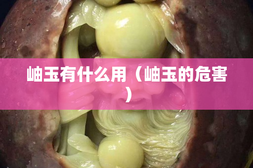 岫玉有什么用（岫玉的危害）