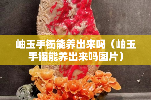 岫玉手镯能养出来吗（岫玉手镯能养出来吗图片）