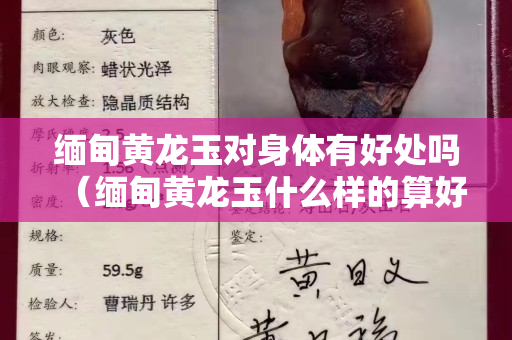 缅甸黄龙玉对身体有好处吗（缅甸黄龙玉什么样的算好品质）