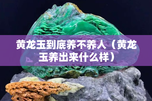 黄龙玉到底养不养人（黄龙玉养出来什么样）