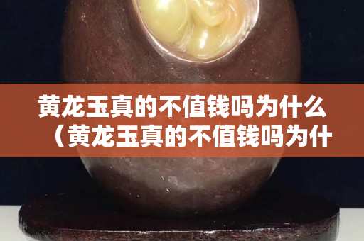 黄龙玉真的不值钱吗为什么（黄龙玉真的不值钱吗为什么那么贵）