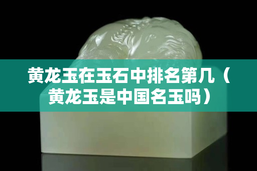 黄龙玉在玉石中排名第几（黄龙玉是中国名玉吗）