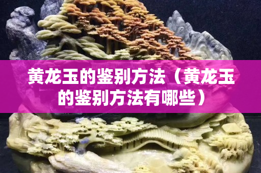 黄龙玉的鉴别方法（黄龙玉的鉴别方法有哪些）