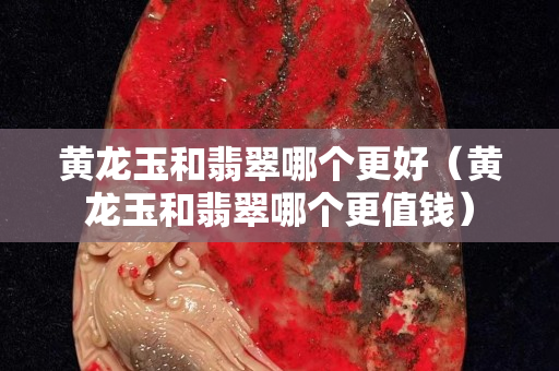 黄龙玉和翡翠哪个更好（黄龙玉和翡翠哪个更值钱）