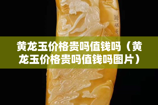 黄龙玉价格贵吗值钱吗（黄龙玉价格贵吗值钱吗图片）