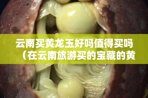 云南买黄龙玉好吗值得买吗（在云南旅游买的宝藏的黄龙玉真的假的）
